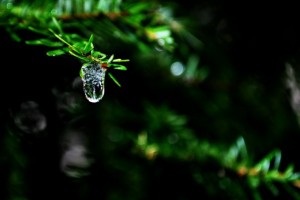 drop