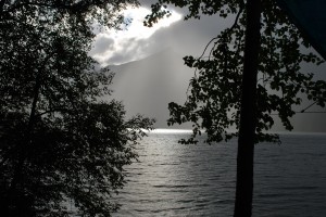 dsc_0390