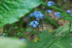 park-114
