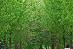 park-125