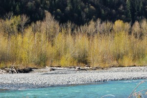 river